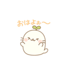 もふっと癒し系♪しろたんぽスタンプ（個別スタンプ：1）
