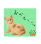ネコの福のお言葉（みどり）（個別スタンプ：5）