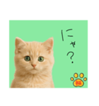 ネコの福のお言葉（みどり）（個別スタンプ：6）