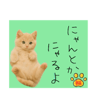 ネコの福のお言葉（みどり）（個別スタンプ：8）