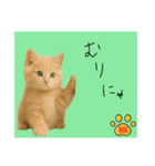 ネコの福のお言葉（みどり）（個別スタンプ：10）