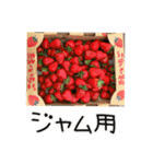 いちご屋さん☆きよの杜農園（個別スタンプ：31）