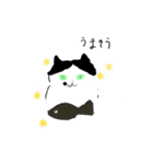 さわのねこ（個別スタンプ：3）