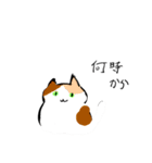 さわのねこ（個別スタンプ：13）