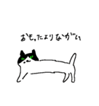 さわのねこ（個別スタンプ：16）