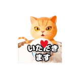 miniサブminiフキ3D   ①（個別スタンプ：5）