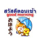 タイ語、日本語、英語 コタとピヨ 連絡用（個別スタンプ：3）