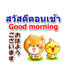 タイ語、日本語、英語 コタとピヨ 連絡用（個別スタンプ：4）