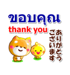 タイ語、日本語、英語 コタとピヨ 連絡用（個別スタンプ：6）