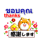 タイ語、日本語、英語 コタとピヨ 連絡用（個別スタンプ：8）