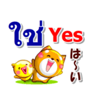 タイ語、日本語、英語 コタとピヨ 連絡用（個別スタンプ：13）