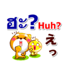 タイ語、日本語、英語 コタとピヨ 連絡用（個別スタンプ：19）