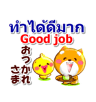 タイ語、日本語、英語 コタとピヨ 連絡用（個別スタンプ：26）