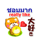 タイ語、日本語、英語 コタとピヨ 連絡用（個別スタンプ：31）