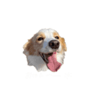 ニーナスタンプーーー！（個別スタンプ：2）
