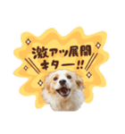 ニーナスタンプーーー！（個別スタンプ：18）