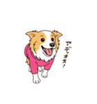 ニーナスタンプーーー！（個別スタンプ：19）