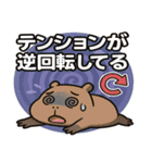 カピバラカピバラ@SFW（個別スタンプ：15）
