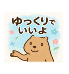 カピバラカピバラ@SFW（個別スタンプ：17）