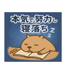 カピバラカピバラ@SFW（個別スタンプ：18）
