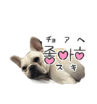 コタロースタンプ 皆さんで気軽に使って（個別スタンプ：10）
