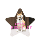 みんなのアイドル福くん！（個別スタンプ：15）