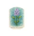 水辺で咲く花:Waterside Flowers（個別スタンプ：2）