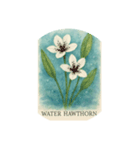水辺で咲く花:Waterside Flowers（個別スタンプ：8）
