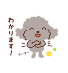 トイプードル色々_うれし、楽し（個別スタンプ：6）