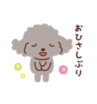 トイプードル色々_うれし、楽し（個別スタンプ：14）