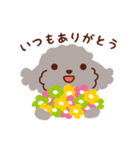 トイプードル色々_うれし、楽し（個別スタンプ：21）