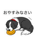 名前入りボーダーコリーブラック（個別スタンプ：4）