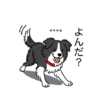 名前入りボーダーコリーブラック（個別スタンプ：9）