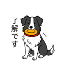 名前入りボーダーコリーブラック（個別スタンプ：10）