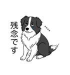 名前入りボーダーコリーブラック（個別スタンプ：19）