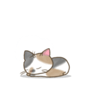 まん丸三毛猫ちゃん（個別スタンプ：1）