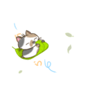 まん丸三毛猫ちゃん（個別スタンプ：5）