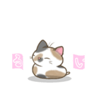 まん丸三毛猫ちゃん（個別スタンプ：6）