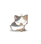 まん丸三毛猫ちゃん（個別スタンプ：8）