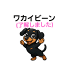 3日間だけ【期間限定】❗❗ダックスフンド（個別スタンプ：11）