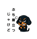3日間だけ【期間限定】❗❗ダックスフンド（個別スタンプ：12）