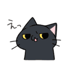 よくわかってないにゃんこスタンプ2（個別スタンプ：11）