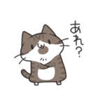よくわかってないにゃんこスタンプ2（個別スタンプ：17）