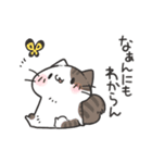 よくわかってないにゃんこスタンプ2（個別スタンプ：19）