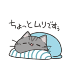 よくわかってないにゃんこスタンプ2（個別スタンプ：25）