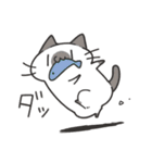 よくわかってないにゃんこスタンプ2（個別スタンプ：29）
