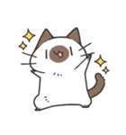 よくわかってないにゃんこスタンプ2（個別スタンプ：30）