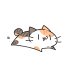 よくわかってないにゃんこスタンプ2（個別スタンプ：34）