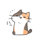 よくわかってないにゃんこスタンプ2（個別スタンプ：36）