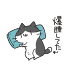 よくわかってないにゃんこスタンプ2（個別スタンプ：37）